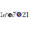 Insecto21